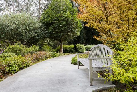 Bench in the Isabel Garden Bench in the Isabel Garden